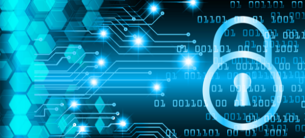 How To Secure Your Business Network